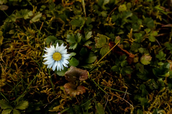 Frühling