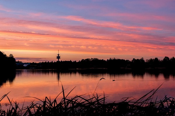 Abenddämmerung am Flückiger See/Seepark Motiv